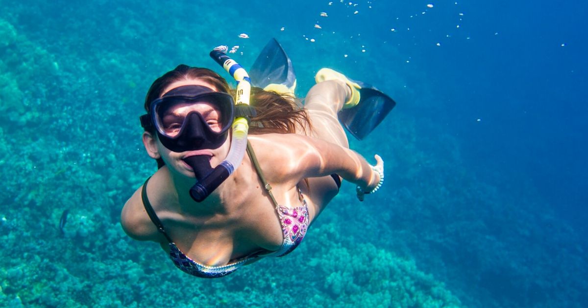 Snorkeling Day Tour zanzibar | Best Packages and Price Snorkeling tours Love being underwater? You can snorkel off the north east as well as the east coast of Zanzibar..