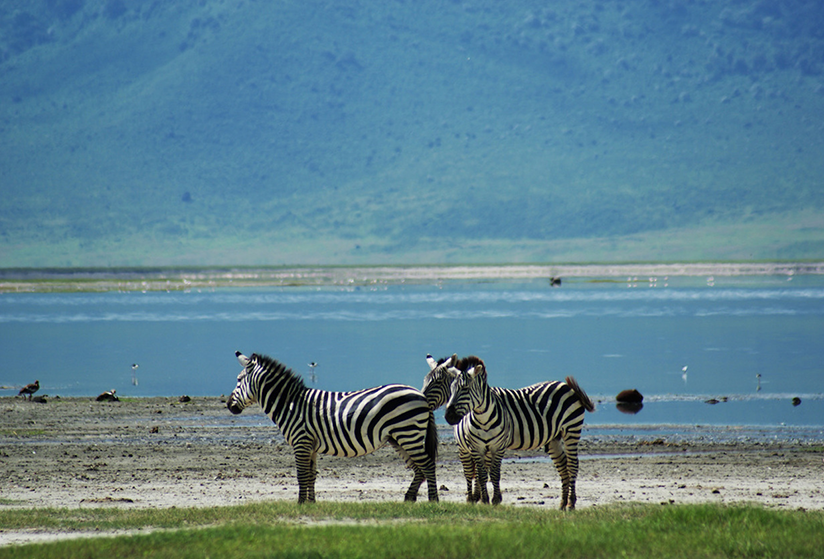 Watch nature closely 3 Days Tanzania Camping Safari