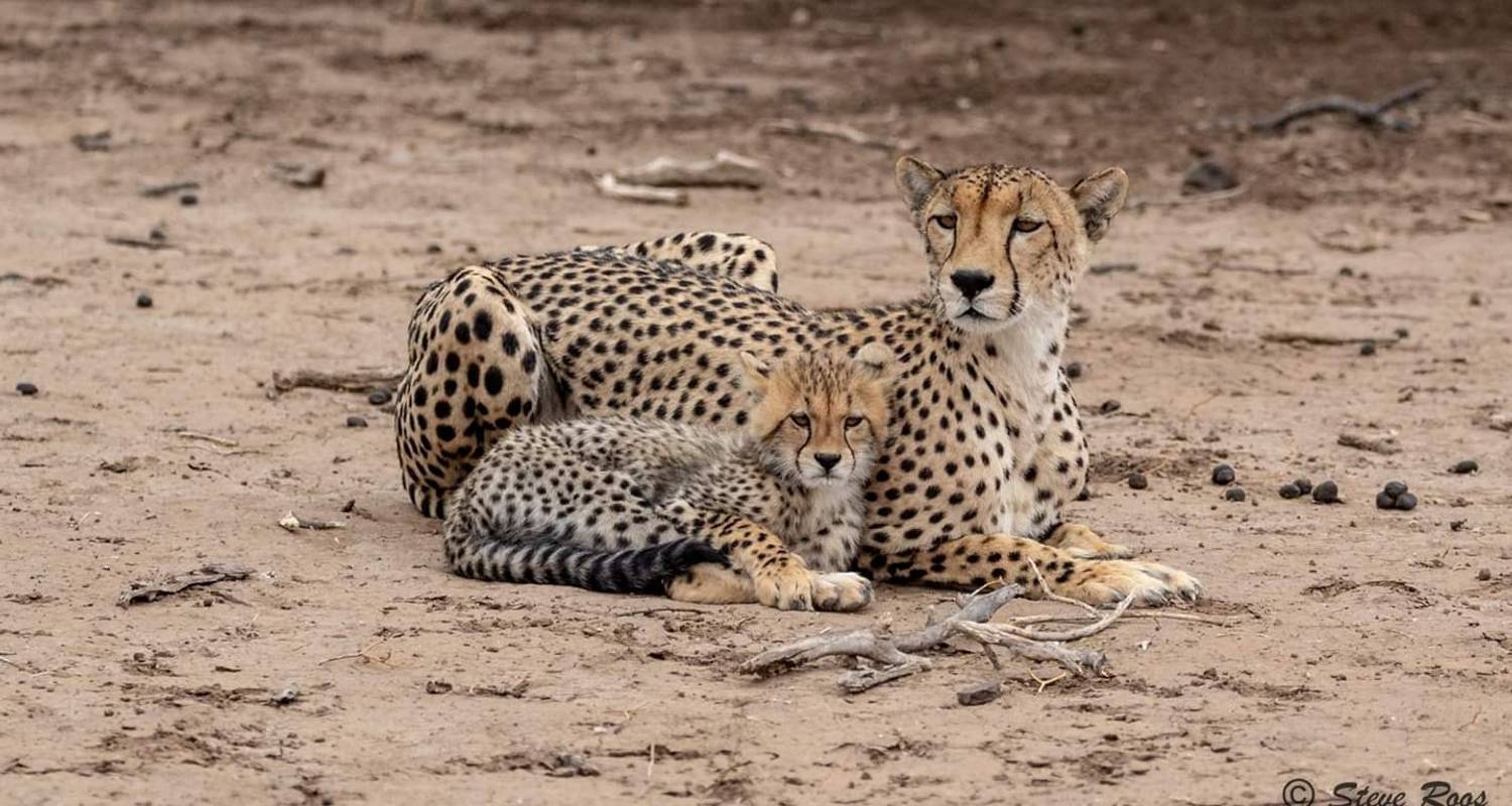 Escape To The Wilderness Of Tanzania 7 Days Camping Safari