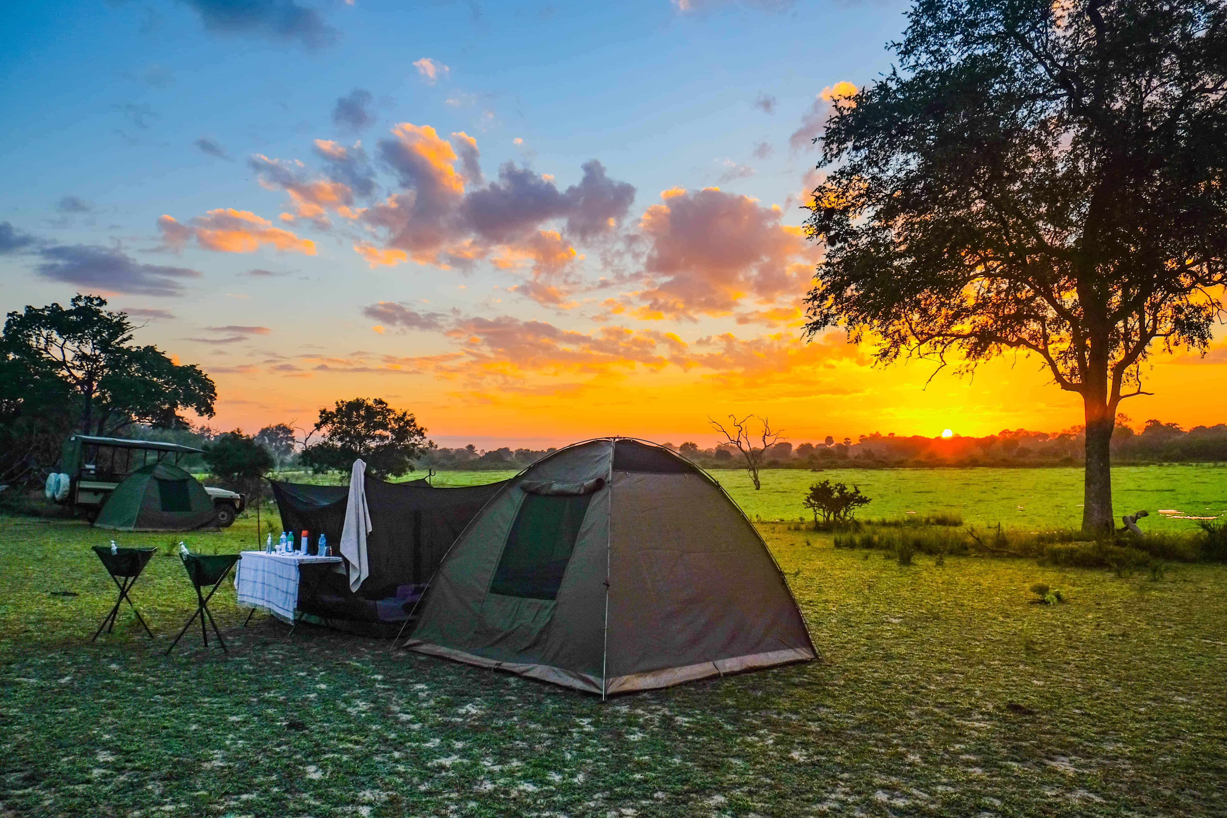 Watch nature closely 4 Days Tanzania Camping Safari