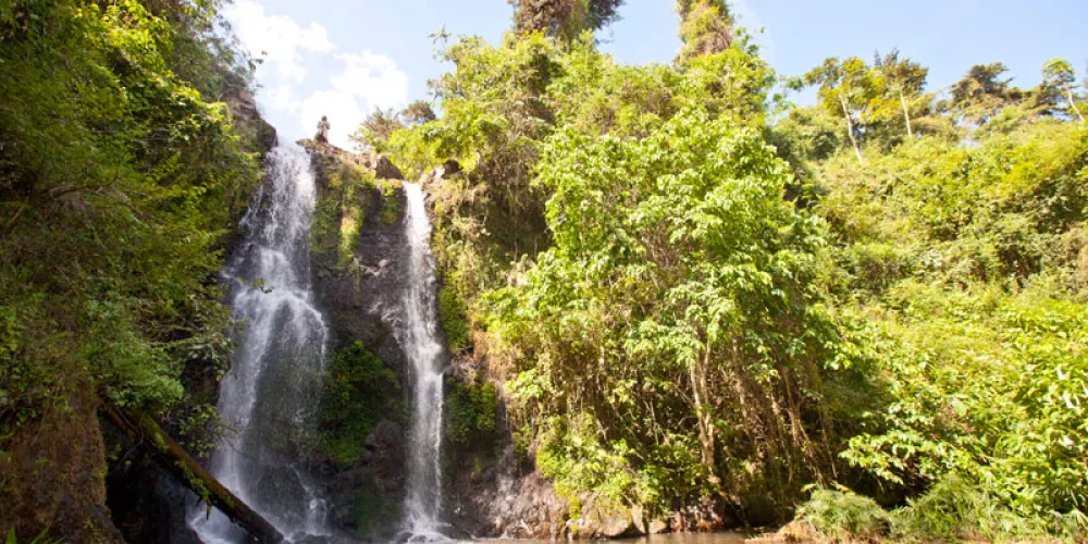 Experience Adventure Marangu Waterfalls Day Trip