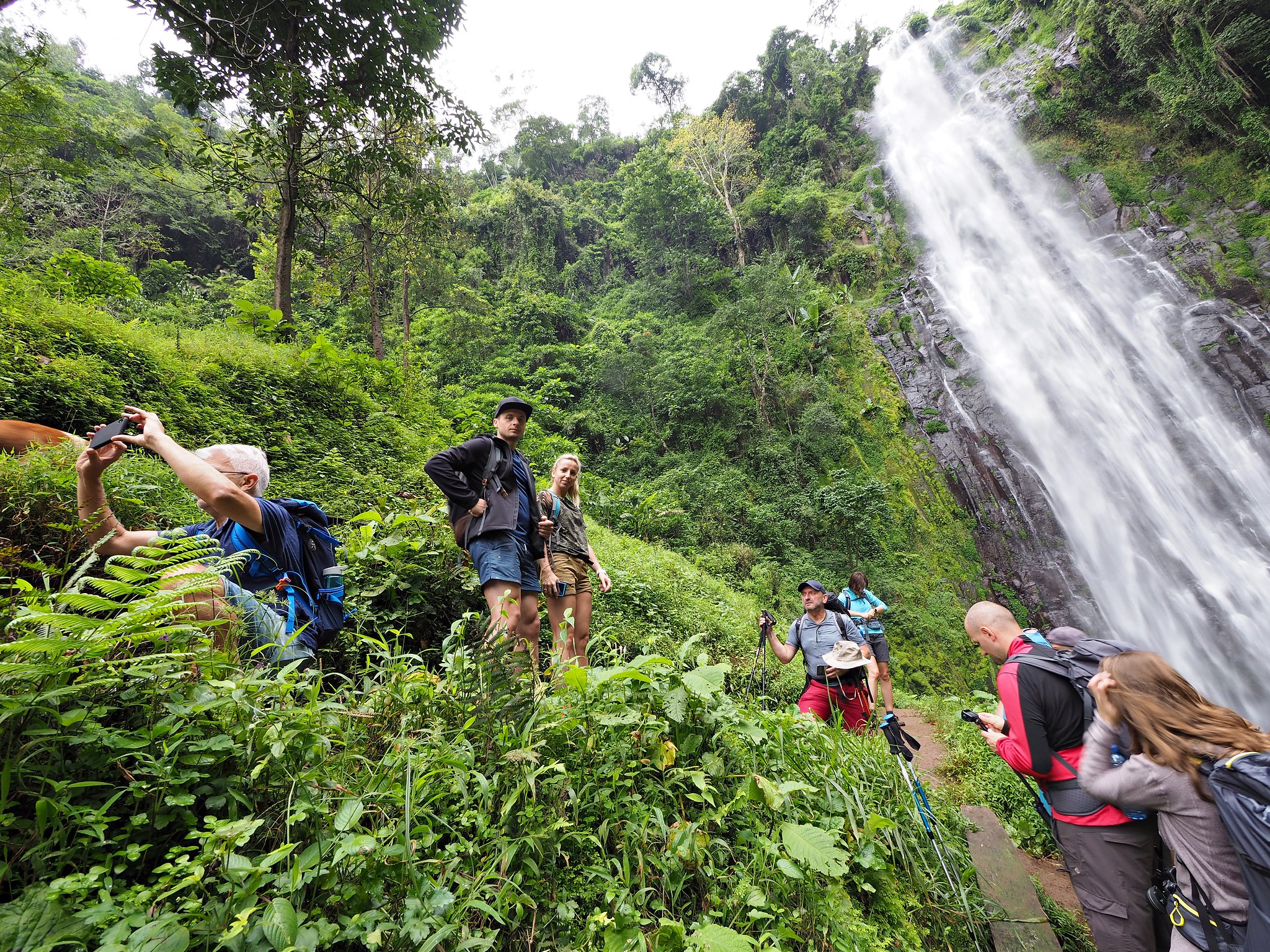 Experience Adventure Materuni Waterfalls And Coffee Day Trip