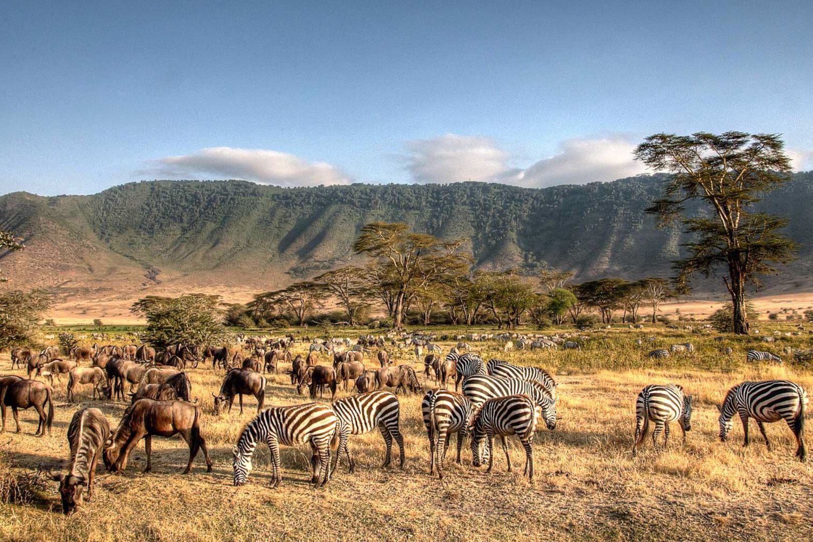 Complete Planning Guide Honeymoon Tanzania Safaris
