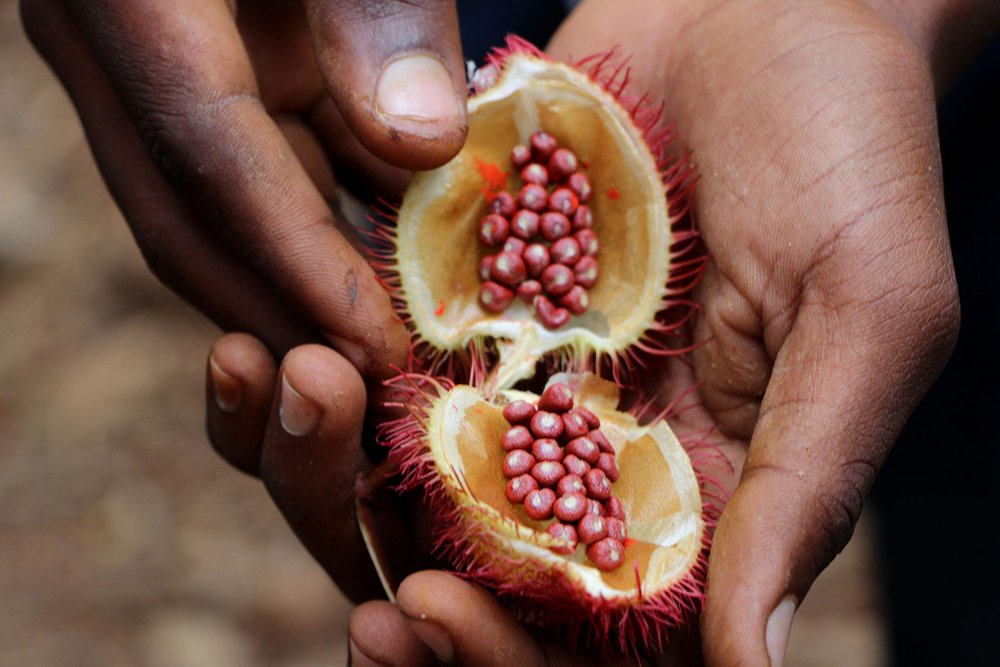 Visit Zanzibar Spice Tour