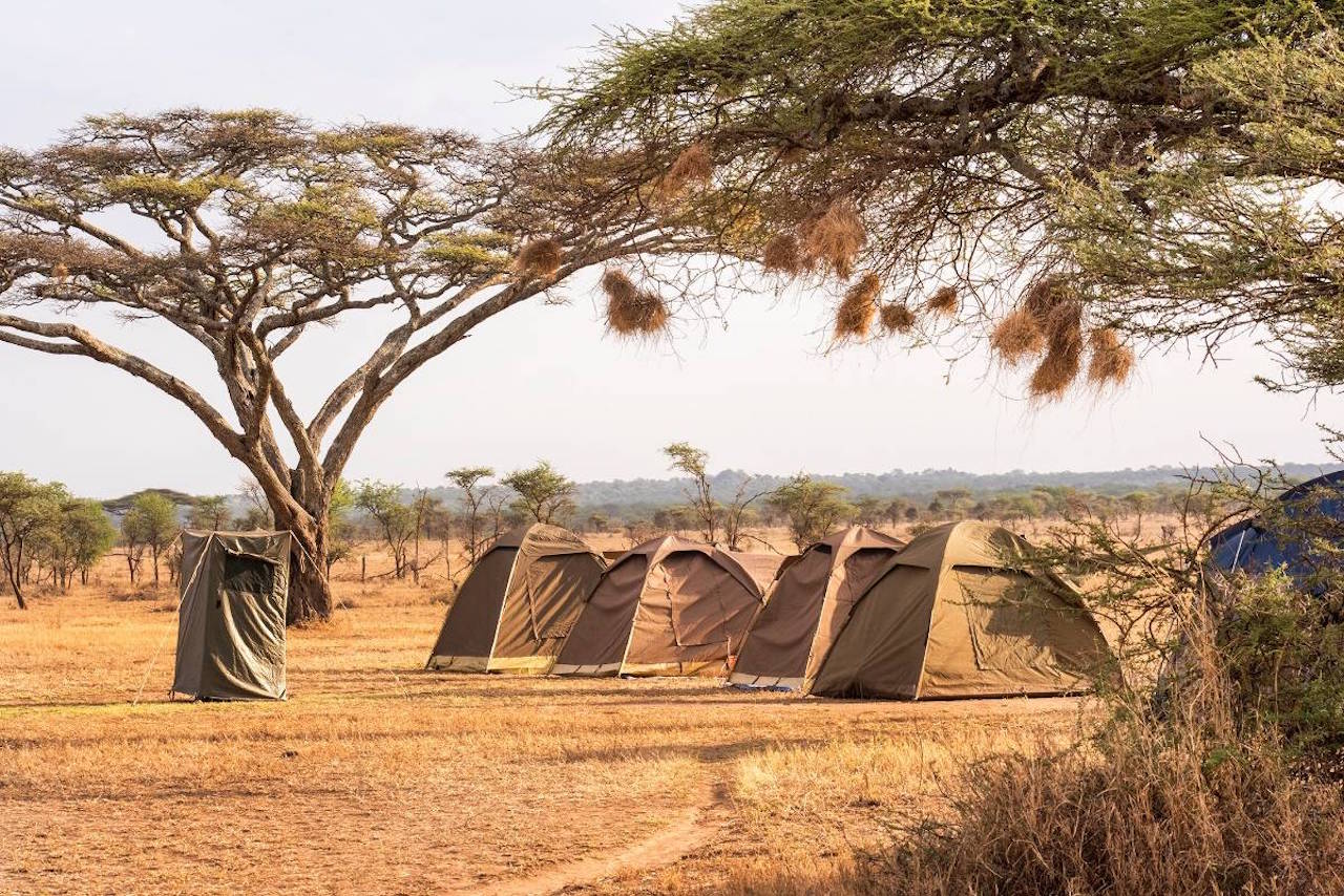 3 Days Budget camping Safari |Tanzania Adventures The 3 day 2nights Tanzania camping safari Serengeti and ngorongoro will take you to Serengeti national park for wildebeest migration tour while