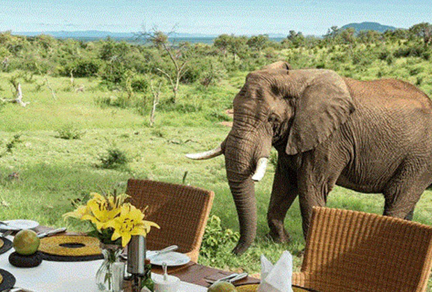 4 Days Tanzania BudgetCamping Safari During this 4-day camping safari, you will visit the Lake Manyara National Park, the Ngorongoro Conservation Area, and the Serengeti National Park