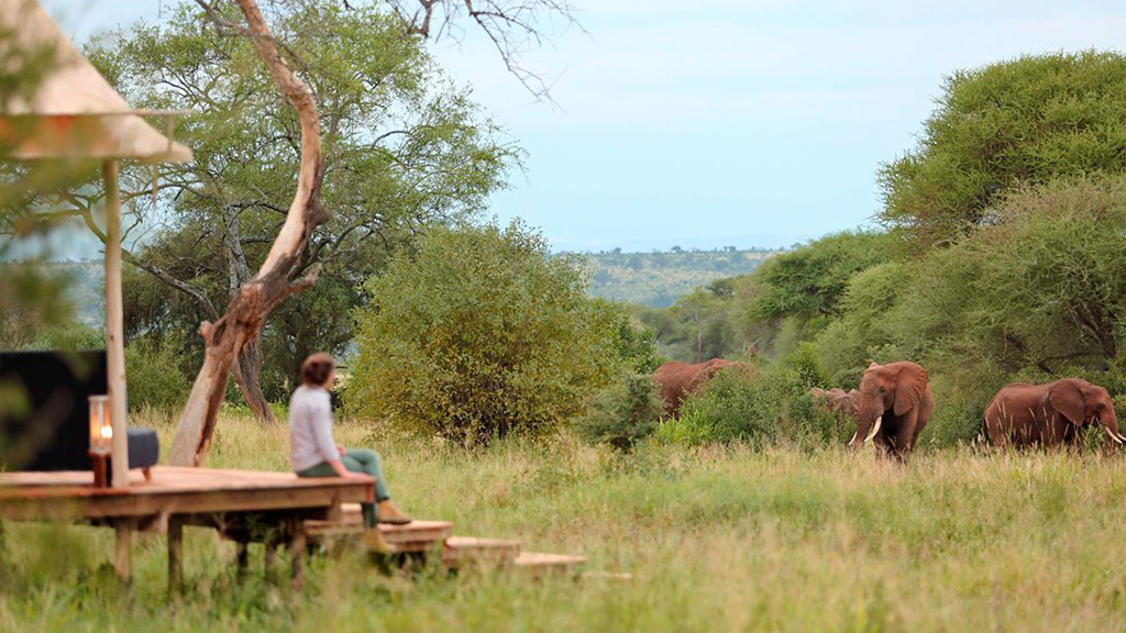 8 Days Best Family Safari Packages |Tanzania Adventures 8 Days Best Family Safari Packages in Tanzania this is the best enough time experiance test in African safari Holiday, You will spend in Serengeti,Ngorongoro crater,Lake Manyara, Tarangire..