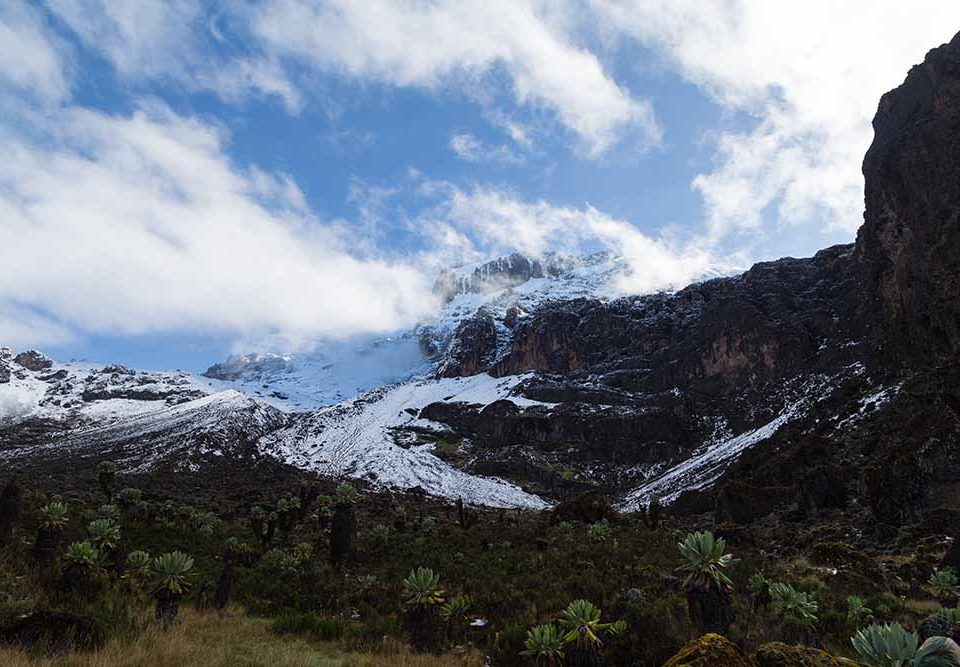 8 Days KiLimanjaro lemosho route |Tanzania Adventures 8 Days The Kilimanjaro Lemosho Route is widely regarded as the most beautiful of all the Kilimanjaro Routes The Kilimanjaro Lemosho Route is one of the newer routes on the mountain,,